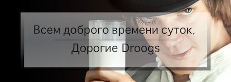 pre_1384977655____.jpg